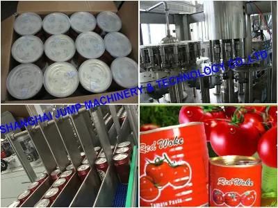 Pet Bottled Tomato Ketchup Packing Line/Production Line