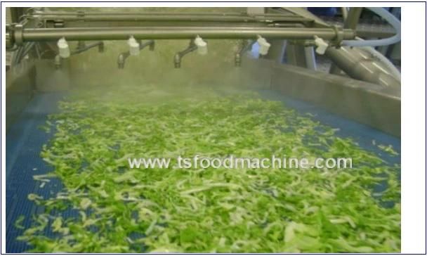 Vegetable Sterilization Line and Vegetable Kale Blanching Machine