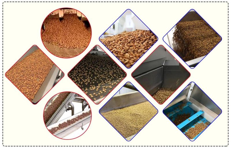 Automatic Flake Dog/Cat/Fish Feed Food Making Machinery