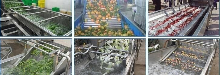 Air Bubble Fruit Vegetable Processing Washing Cleaning Machinery