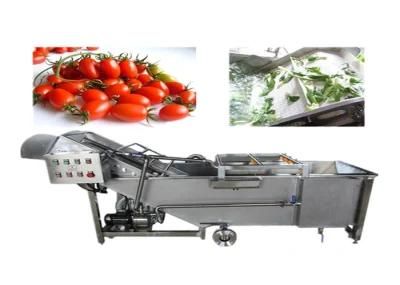 Factory Price Fresh Fruit Vegetable Air Bubble Washing Machinery