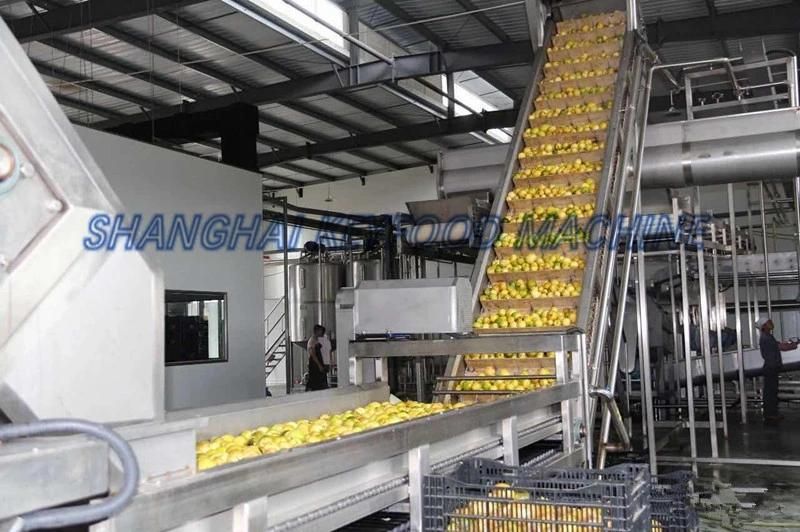 Stainless Steel Fully-Automatic Juice Production Line with Ce