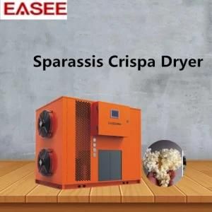 New Technology Drying Machine Equipment Dehumidifier for Sparassis Dryer