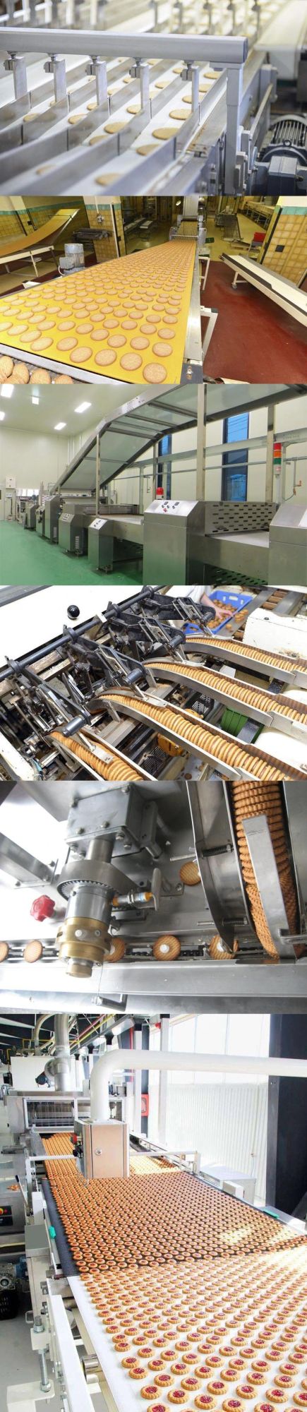 Stick Biscuit Product Line with Capacity 150-200kg/H