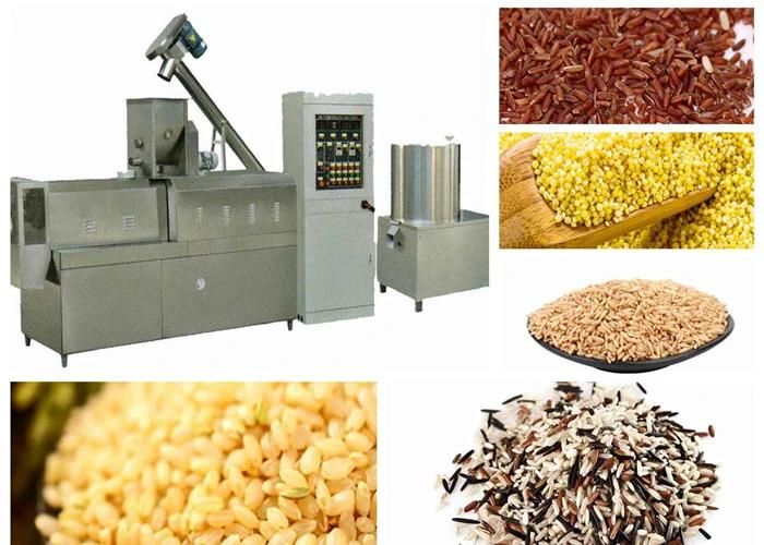 China Double Screw Nutrition Food Making Machine