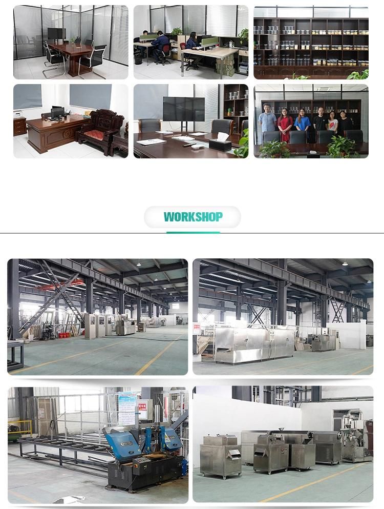 Puffed Corn Rice Snacks Double Screw Food Extruder