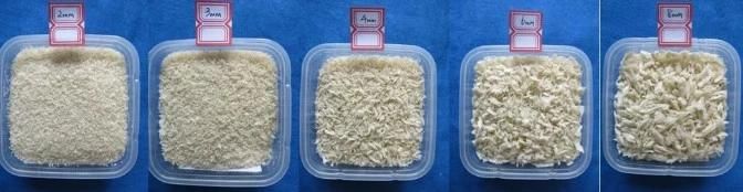Frying Coated Panko Bread Crumb Manufacturing Processing Plant