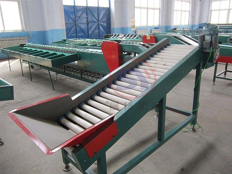 Large Capacity Potato/Tomato/Orange Sorting Grading Selecting Machine with Cheap Price