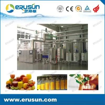 Stainless Steel Automatic Fruit Juice Processing Line