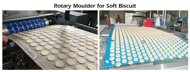 Hard/Soft Biscuit Production Line Snack Macking Machine