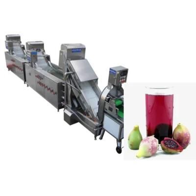 Hot Sell Prickly Pear Juice Producion Line