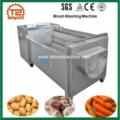 Brush Washing and Peeling Machine Special for Fruit and Vegetables Washer with Ce