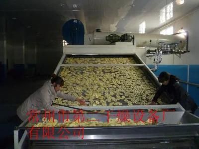 Apple Automatic Belt Conveyor Dryer
