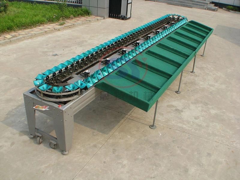 Popular Fruit&Vegetable Weight Grading Sorting Machine Single Side