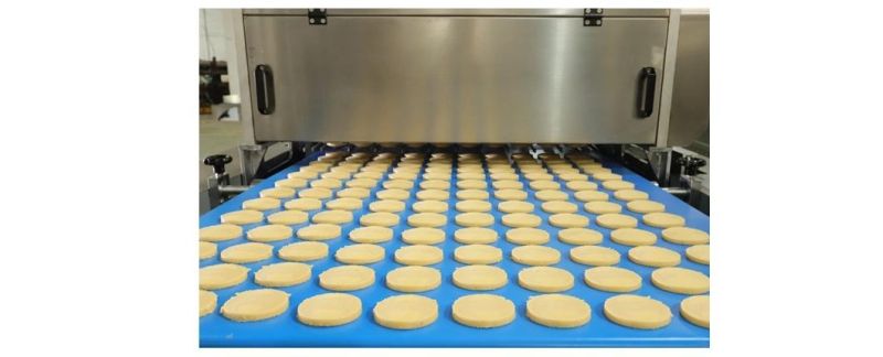 Skywin Cookie Cutter Machine Cookies Making Machine Small Automatic in China