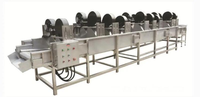 Dehydrated Vegetable Fruits Processing Line