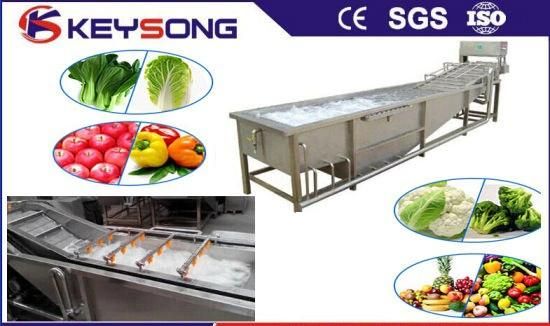 Labour Saving Commercial Vegetable Washing Machinery