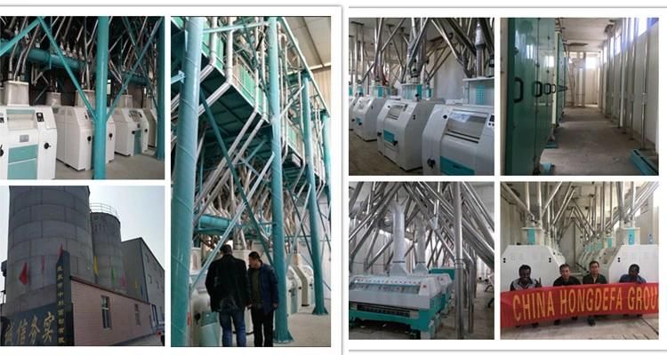 Maize Mill Machine for Kenya to Do Ugali with Grade 1 Grade 2 High Quality Flour