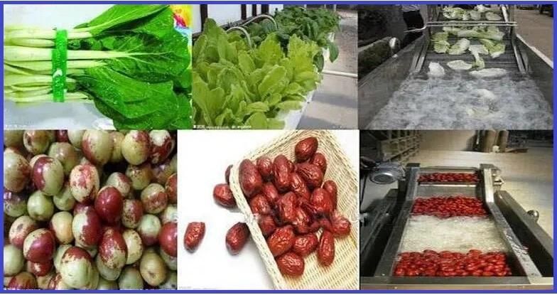 Fruits Processing Equipment Plant Price Vegetables Washing Cleaning Machine