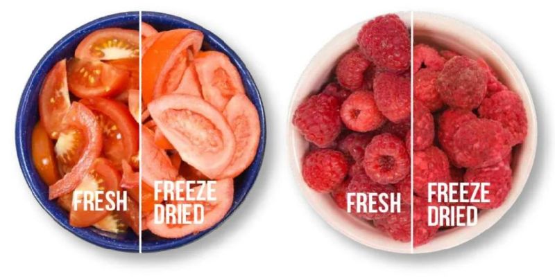 Lyophilizer Freeze Drying Machine Cooked Soup Freeze Dryer