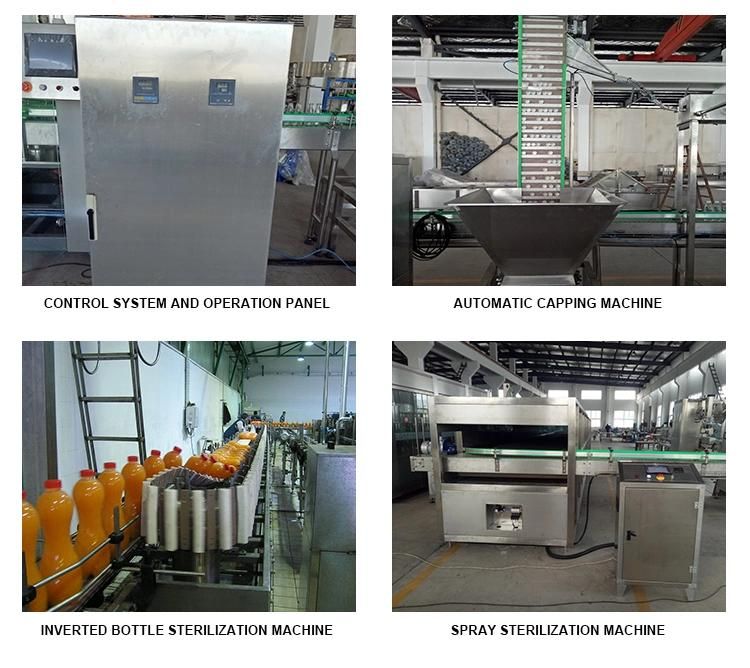 6000bph a to Z Turnkey Complete Pet Bottle Drinking Pure Mineral Water Blowing Washing Rinsing Filling Bottling Capping Sealing Labeling Packing Machine