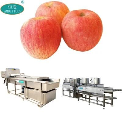 Vegetable Fruits Washer Dryer Apple Washing Drying Machine