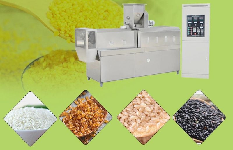 Rconstituted Fortified Rice Extruder Nutritional Artificial Rice Making Machine Hot Sale