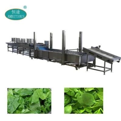 Leaf Vegetables Washing and Air Drying Line
