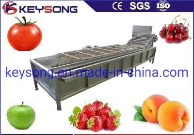 Vegetable Washer Vegetable Cleaning Equipment
