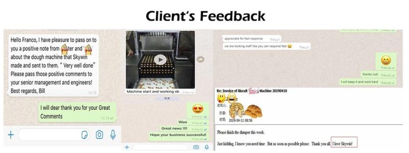 Manufacturer Cracker Production Line Hello Panda Cookie Maker Biscuit Factory Machine