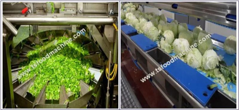 Vegetable Processing Line Green Vegetables Ozone Bubble Washing Machine with Dryer