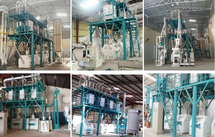 Hot Sale 50t/24h Maize Mill Machine Installed in Africa