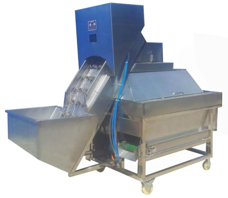 Factory Supply Automatic Onion Peeling and Root Cutting Machine