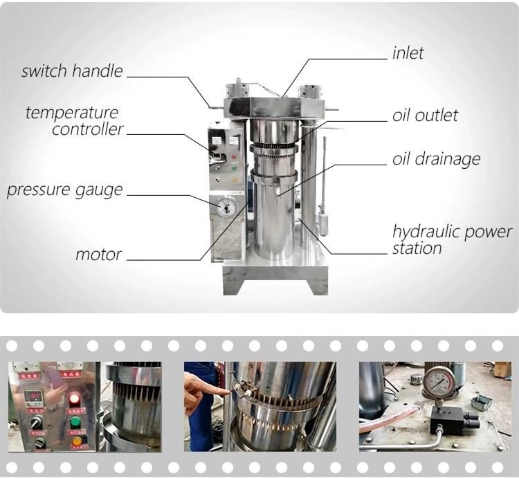 Hydraulic Oil Press Olive Oil Extractor Cold Hot Oil Processing Machine