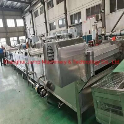 Mango Pulp Refiner/Mango Pulp Finisher/Mango Pulp Aseptic Filler/Mango Pulp ...