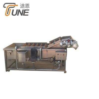 Ce Approved Air Bubble Vegetable Leafy and Fruit Washing Machine for Sale