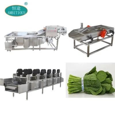 Vegetable Processing Line Green Vegetables Ozone Bubble Washing Machine with Dryer