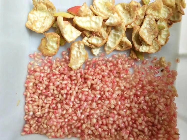 Top Quality Pomegranate Skin Separating Machine