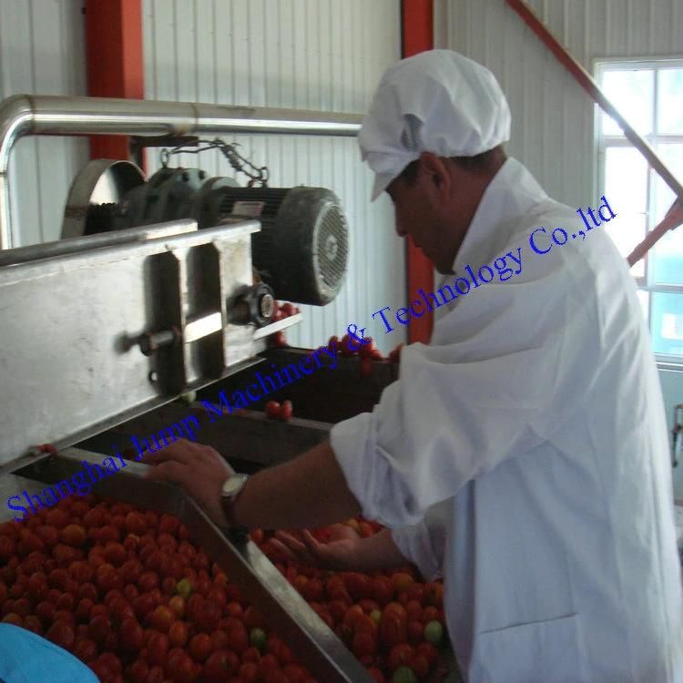 28-30% 30-32% Brix Concentrated Tomato Paste Sauce Ketchup Production Processing Line Factory