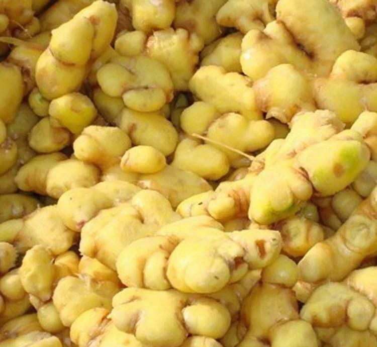 Ginger Processing Plant Ginger Peeling Washing and Drying Line Machine