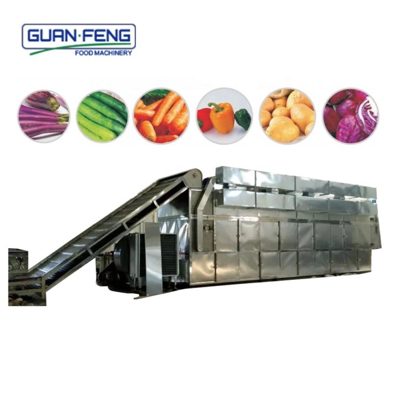 High Efficiency Industrial Chili Dehydrator Vegetable Belt Drying Machine