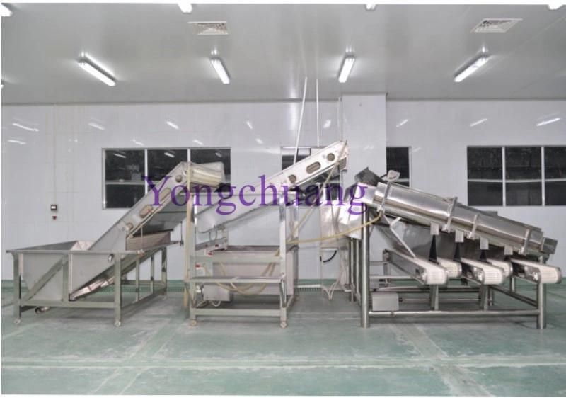 High Quality of Shrimp Peeling Machine with Two Years Warranty