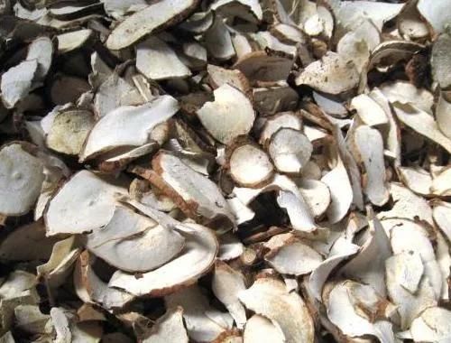 Frying Machine Continuous Belt Conveyor Cassava Chips Deep Fryer