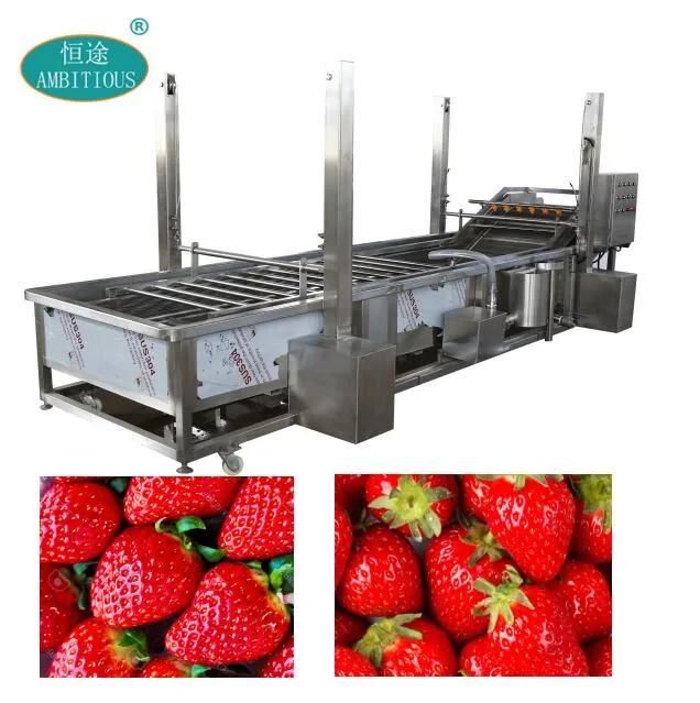 Strawberry Cleaner Automatic Strawberry Washing Machine