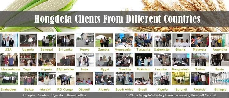 Hongdefa Top Quality Maize Flour Meal Grits Milling Machinery