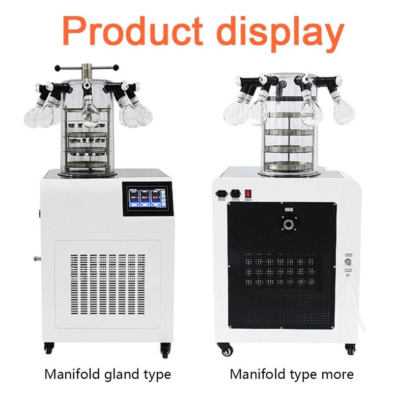 Lab Equipment Lyophilizer Used Vacuum Mini Freeze Dryer