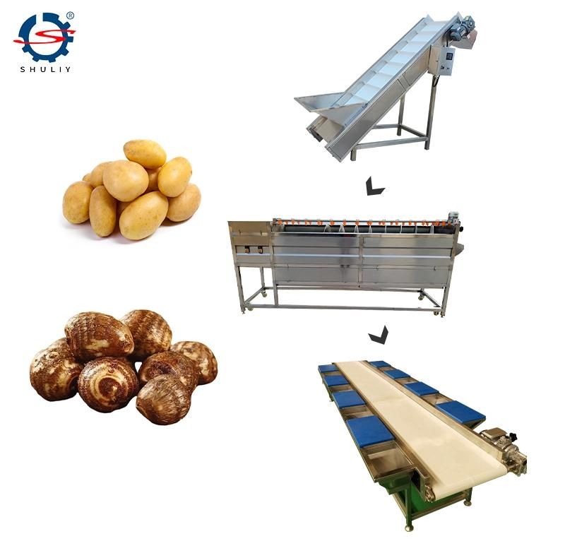 Automatic Brush Potato Washing Peeling Washer Peeler Line Machine