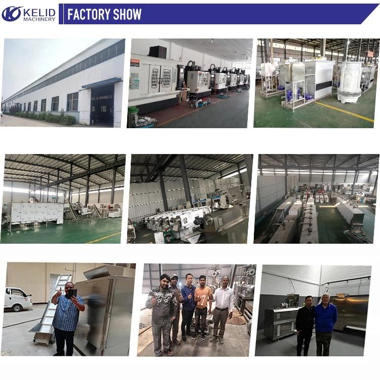 Pregelatinized Converted Modified Starch Processing Making Machine