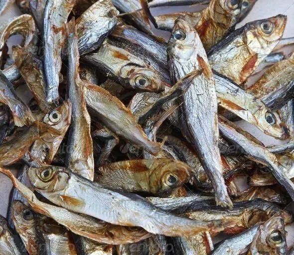 Seafood Freeze Drying Machine Fish Food Lyophilizer Machine