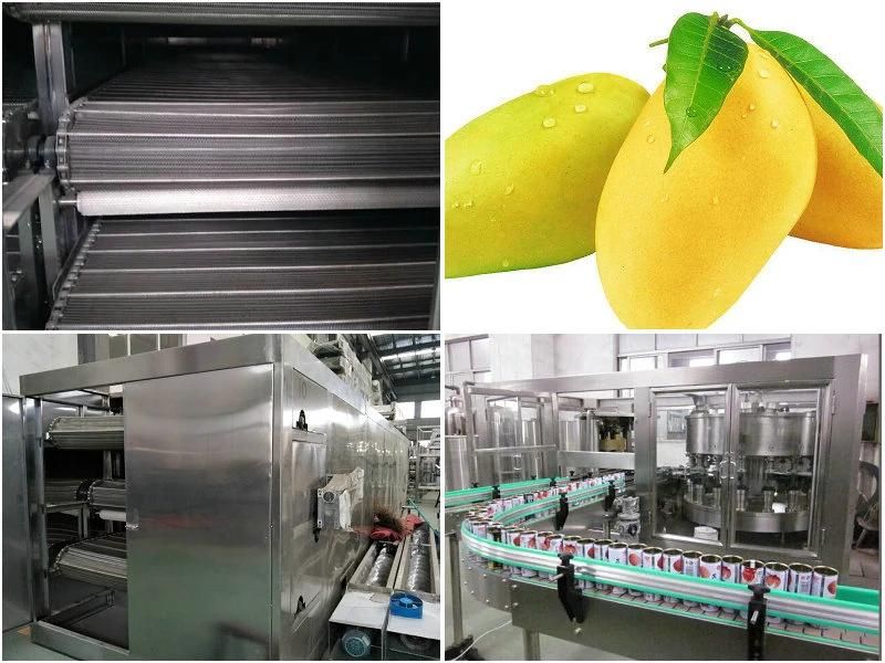 220 Litter Bulk Package Mango Pulp Processing Line